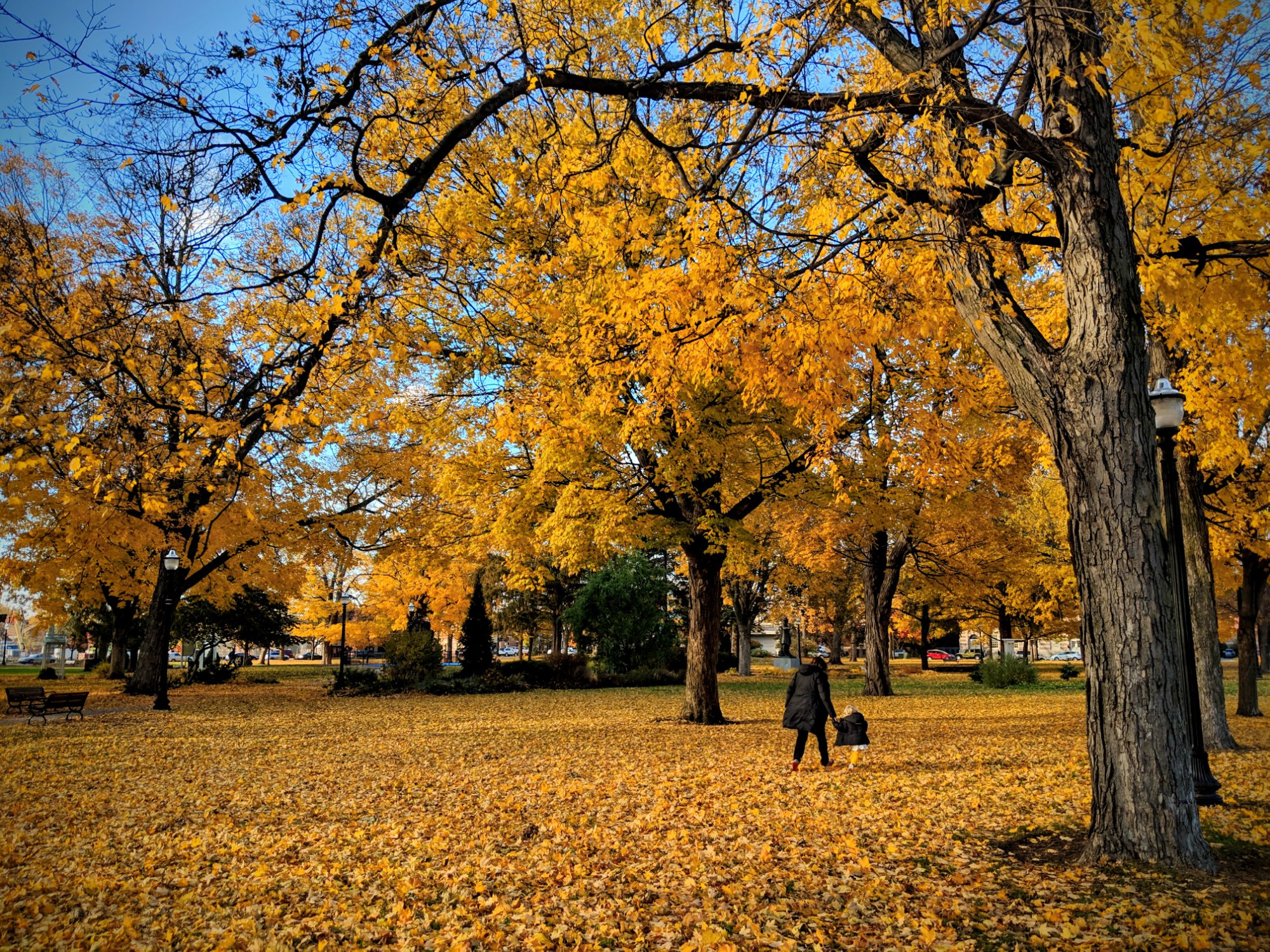 Fall walk